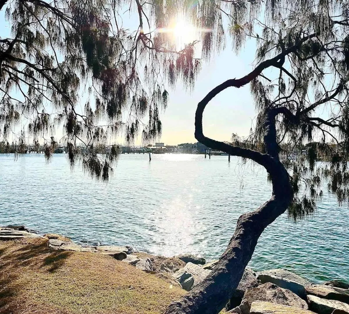 Apartment Point Cartwright Penthouse - Ocean And River Views Buddina